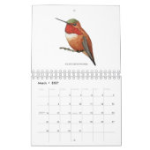 Nordamerikanischer Hummingbirds Calendar Kalender (Mär 2027)