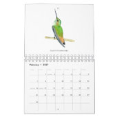 Nordamerikanischer Hummingbirds Calendar Kalender (Feb 2027)