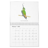 Nordamerikanischer Hummingbirds Calendar Kalender (Feb 2026)
