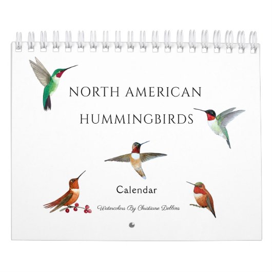 Nordamerikanischer Hummingbirds Calendar Kalender (Titelbild)