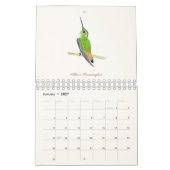 Nordamerikanischer Hummingbirds Calendar Kalender (Jan 2027)