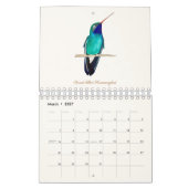 Nordamerikanischer Hummingbirds Calendar Kalender (Mär 2027)