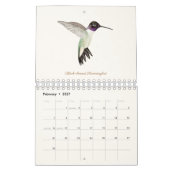 Nordamerikanischer Hummingbirds Calendar Kalender (Feb 2027)