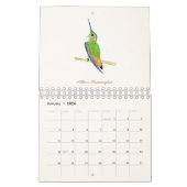 Nordamerikanischer Hummingbirds Calendar Kalender (Jan 2026)