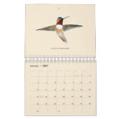 Nordamerikanischer Hummingbirds Calendar Kalender (Jan 2027)
