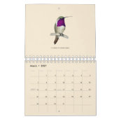 Nordamerikanischer Hummingbirds Calendar Kalender (Mär 2027)