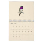 Nordamerikanischer Hummingbirds Calendar Kalender (Mär 2026)