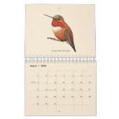 Nordamerikanischer Hummingbirds Calendar Kalender (Mär 2026)