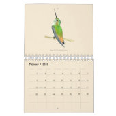 Nordamerikanischer Hummingbirds Calendar Kalender (Feb 2026)
