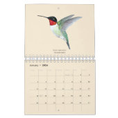 Nordamerikanischer Hummingbirds Calendar Kalender (Jan 2026)
