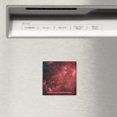 Nordamerikanischer Nebel Infrarot Magnet (In Situ (Geschirrspüler))