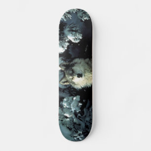 Nordamerikanischer Timberwolf im Schnee Skateboard