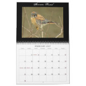 Nordamerikanischer Vogel-Kalender Kalender (Feb 2027)