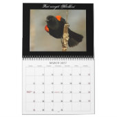 Nordamerikanischer Vogel-Kalender Kalender (Mär 2027)