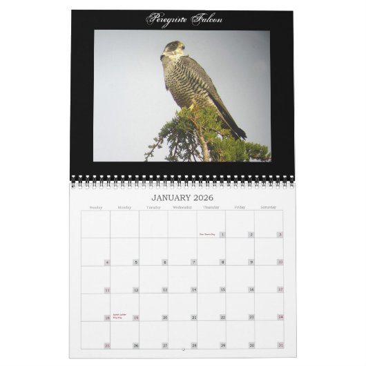 Nordamerikanischer Vogel-Kalender Kalender (Jan 2026)