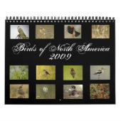 Nordamerikanischer Vogel-Kalender Kalender (Titelbild)