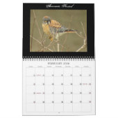 Nordamerikanischer Vogel-Kalender Kalender (Feb 2026)