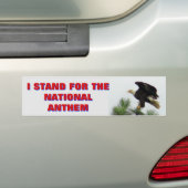 Nordamerikanischer Weißkopfseeadler, den ich für Autoaufkleber (Auf Auto)