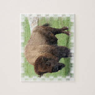 Nordamerikanisches Bison-Puzzlespiel Puzzle