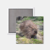 Nordamerikanisches Poster Magnet (Vorderseite/Rückseite)