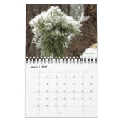 Nordarizona in den Fotografien Kalender (Mär 2027)