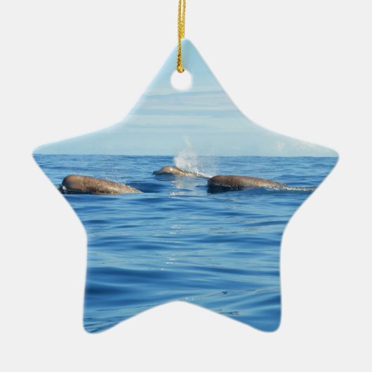 Nordatlantikbottlenose-Wale Keramik Ornament (Vorne)