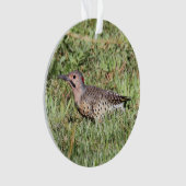 Nordaufflackern Ornament (Vorderseite)