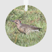 Nordaufflackern Ornament (Rückseite)