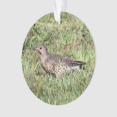 Nordaufflackern Ornament (Vorderseite)