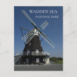 Nordermühle, Northern Mill, Pellworm Island Postkarte