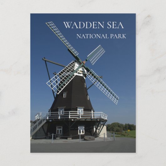Nordermühle, Northern Mill, Pellworm Island Postkarte (Vorderseite)