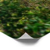 Nordeste - Azoren Poster (Ecke)
