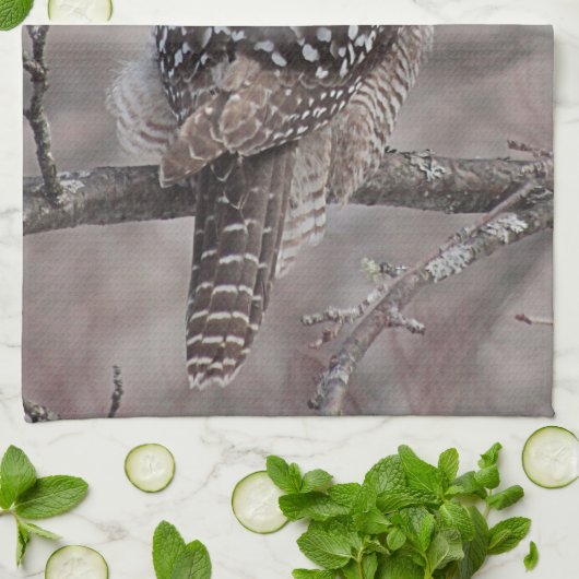 Nordfalke-Eule Geschirrtuch (Gefaltet)