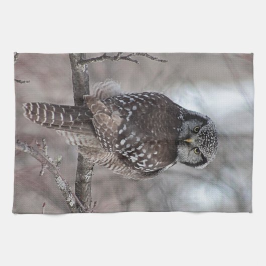 Nordfalke-Eule Geschirrtuch (Horizontal)