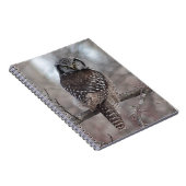 Nordfalke-Eule Notizblock (Rechte Seite)