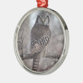 Nordfalke-Eule Silbernes Ornament (Links)
