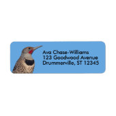 Nordflacker-Flecker in der Sonne (Vorne)