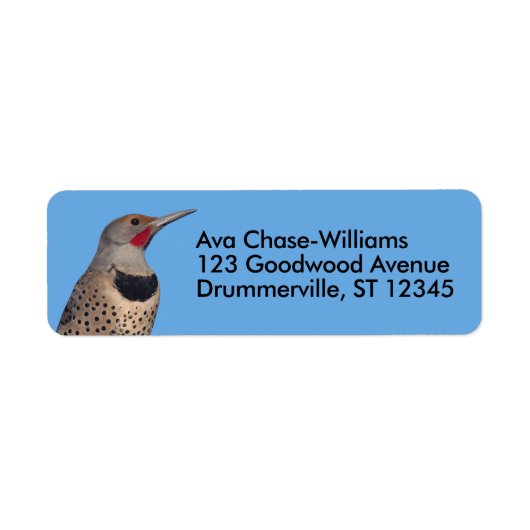 Nordflacker-Flecker in der Sonne (Vorne)