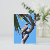 Nordflacker Postkarte (Stehend Vorderseite)