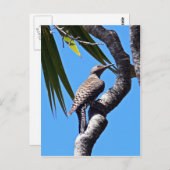 Nordflacker Postkarte (Vorne/Hinten)