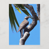 Nordflacker Postkarte (Vorderseite)