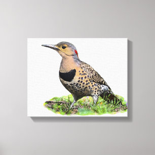 Nordflicker am Boden Leinwanddruck