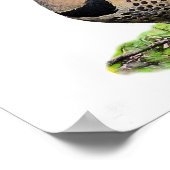 Nordflicker am Boden Poster (Ecke)