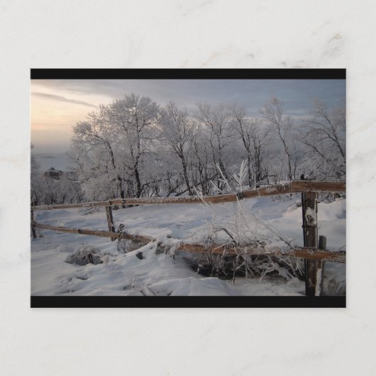 Nordfrost Postkarte (Vorderseite)