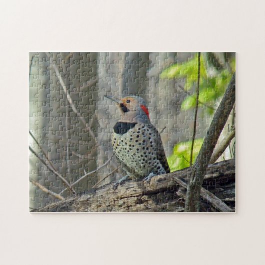 Nordgelb-schattiger Flicker Puzzle (Horizontal)