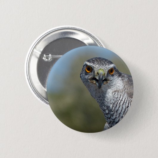Nordgohawk Nah Button (Vorne & Hinten)