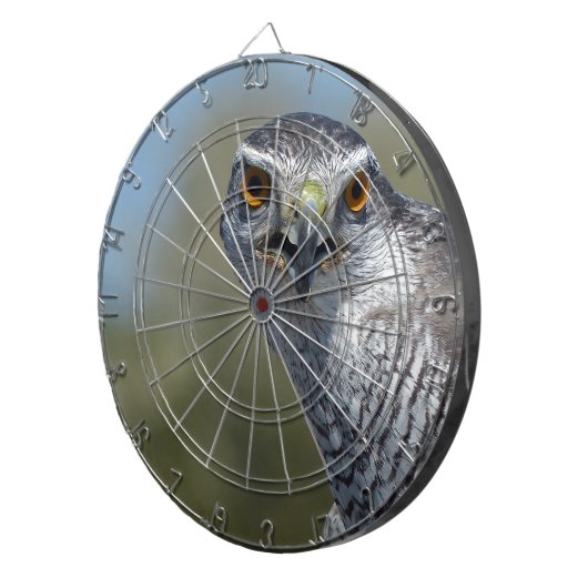 Nordgohawk Nah Dartscheibe (Vorderseite rechts)