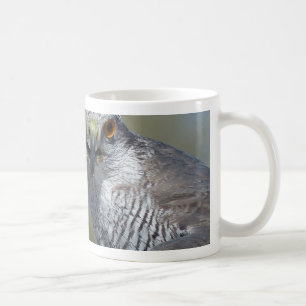 Nordgohawk Nah Kaffeetasse