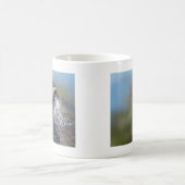 Nordgohawk Nah Kaffeetasse (Mittel)