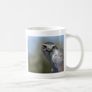 Nordgohawk Nah Kaffeetasse